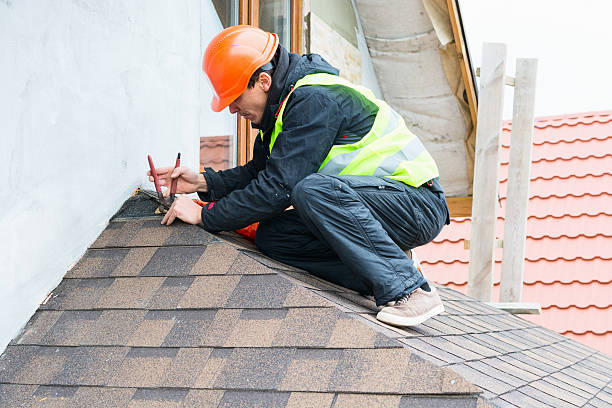 Best Roof Gutter Cleaning  in Maryland City, MD
